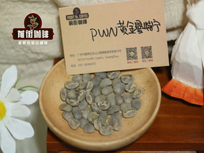 Các giống cà phê Indonesia Mandheling | PWN Golden Mandheling có phải là cà phê Arabica không? Phin nhỏ giọt, siphon, AeroPress, French press - loại nào phù hợp để pha Golden Mandheling?
