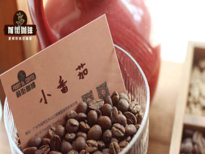 Gợi ý mua hạt cà phê | Người mới bắt đầu pha cà phê bằng phương pháp pour-over nên mua hạt cà phê tươi hay bột cà phê xay sẵn? Người mới làm sao chọn hạt cà phê rang?