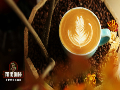 Làm thế nào để pha latte bằng bình Moka? Dùng loại sữa nào để pha cà phê latte bằng bình Moka? Tỷ lệ bột và nước của bình Moka bao nhiêu là phù hợp? Hướng dẫn bạn cách tăng nồng độ cà phê chiết xuất từ bình Moka