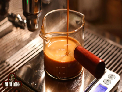 Gợi ý các loại hạt cà phê SOE｜Single origin espresso là gì? Hạt SOE Hoa Khôi và hạt blend làm espresso, loại nào ngon hơn và không đắng?
