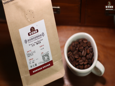 Các loại túi cà phê treo | Cách pha cà phê túi treo Brazil Red Bourbon là gì? Những điểm chính khi pha cà phê túi treo kiểu lọc là gì? Gợi ý thương hiệu cà phê túi treo