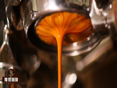 Chọn hạt cà phê espresso cho gia đình｜Cà phê rang nhạt có thể làm espresso không? Những loại hạt cà phê espresso rang vừa đến đậm nào phù hợp cho người mới bắt đầu với khả năng chiết xuất ổn định?