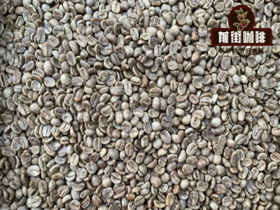 Đối tượng phù hợp với cà phê decaf｜Cà phê decaf khác gì so với cà phê thường? Cà phê decaf có phải là cà phê specialty không? Gợi ý hạt cà phê rang cho phương pháp pour-over ít caffeine