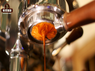 Máy pha espresso dùng cho gia đình và văn phòng nên dùng loại hạt cà phê nào cho phù hợp? Đặc điểm hương vị và biểu hiện của hạt cà phê espresso — Tại sao espresso lại chua?