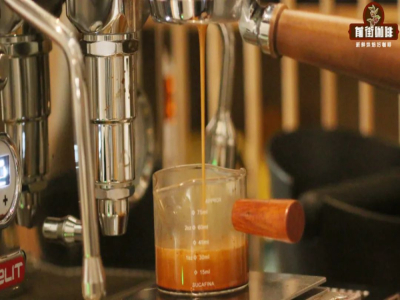 Cà phê Ý Espresso｜Espresso là gì? Người mới học về cà phê làm thế nào để pha cà phê Ý? Cách uống Espresso đúng chuẩn là gì?