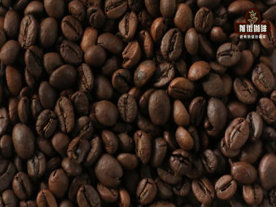 Cách pha SOE | Cà phê espresso làm từ hạt SOE có vị chua không? Cách điều chỉnh tỷ lệ chiết xuất cà phê SOE như thế nào?