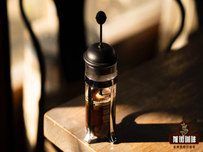 Gợi ý French Press｜Nguồn gốc lịch sử của French Press là gì? Thương hiệu French Press nào tốt và có giá trị cao hơn?