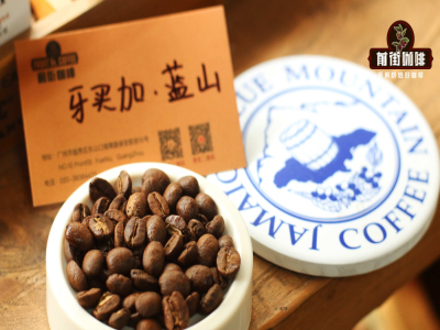 Chi tiết pha chế cà phê pour-over | Cà phê hạt rang đơn origine xay thành bột cà phê thì pha thế nào? Pha pour-over có cần ủ nở không? Giới thiệu thủ pháp rót nước và thông số chiết xuất của cà phê pour-over